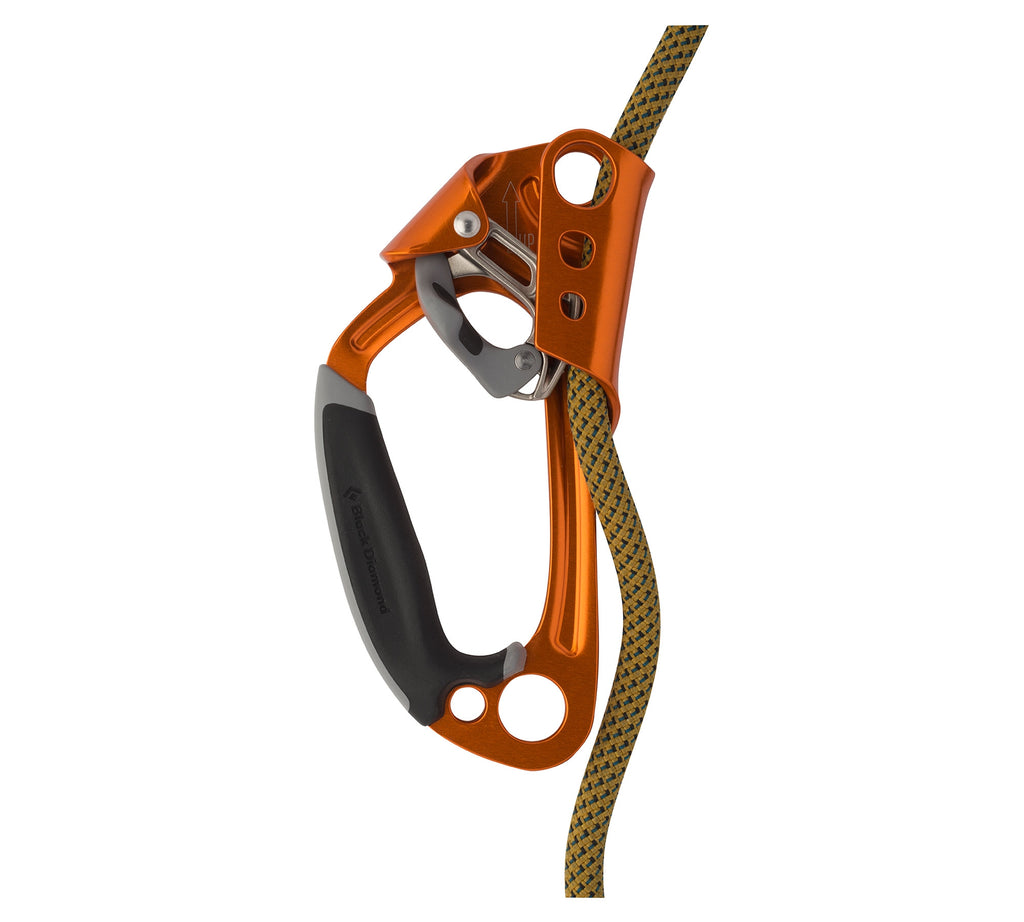 Black Diamond Index Ascender