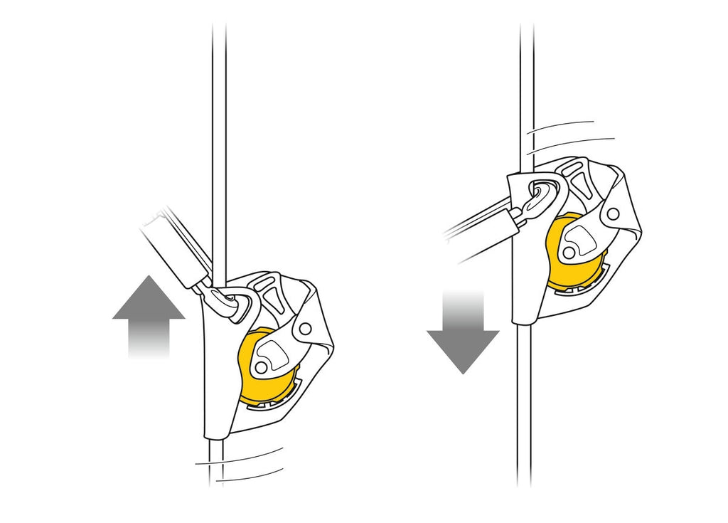 Petzl ASAP International Fall Arrester