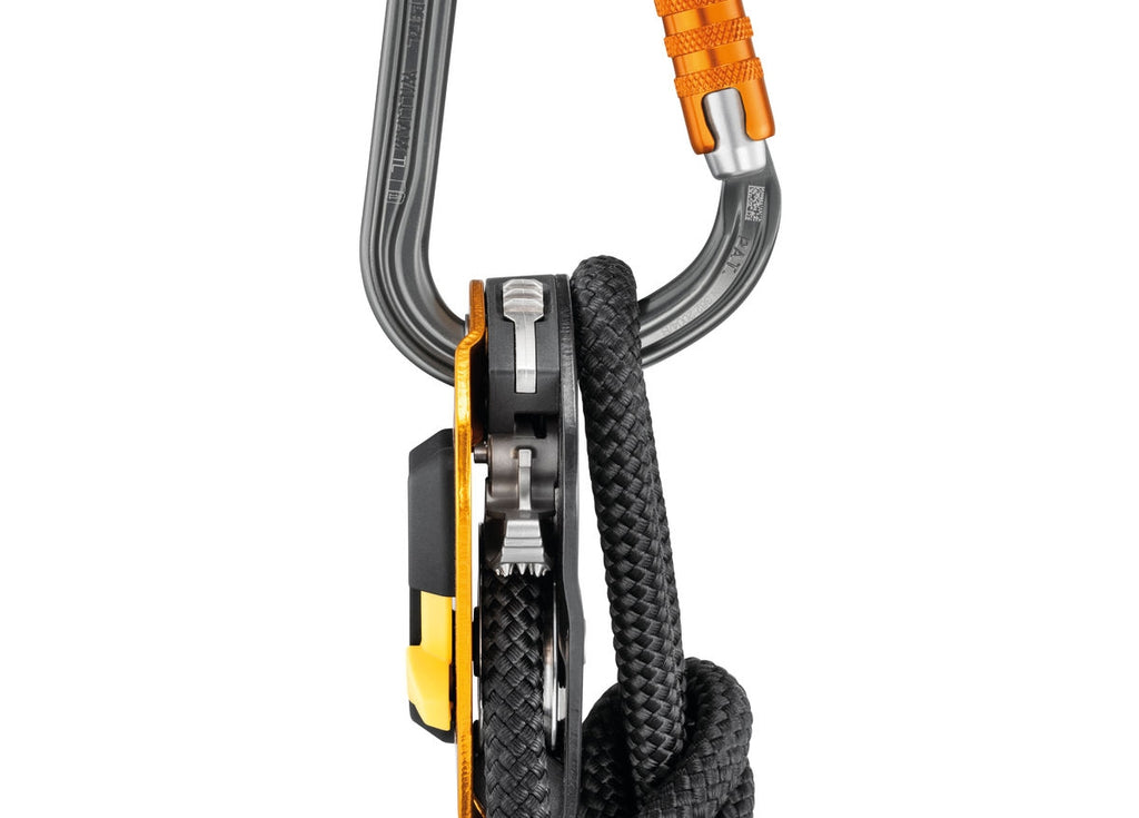 Petzl William Triact-Lock Carabiner
